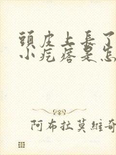 头皮上长了好多小疙瘩是怎么回事