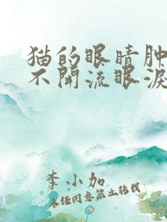 猫的眼睛肿了睁不开流眼泪