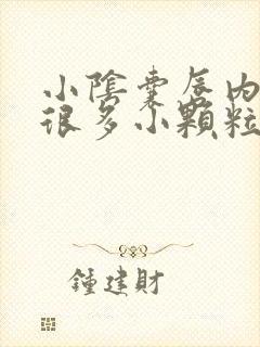 小阴囊唇内侧有很多小颗粒正常吗