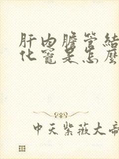 肝内胆管结石钙化灶是怎么回事