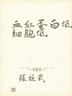 血红蛋白低 红细胞低