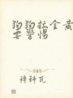 狗狗拉金黄软便要警惕