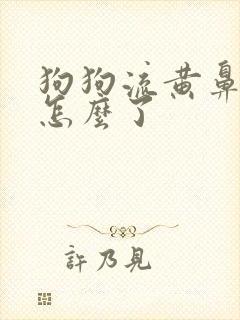 狗狗流黄鼻涕是怎么了