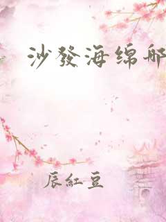 沙发海绵哪种好