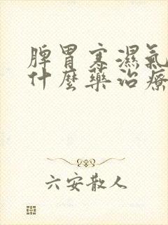 脾胃寒湿气重有什么药治疗