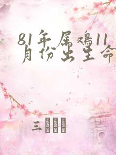 81年属鸡11月份出生命运如何