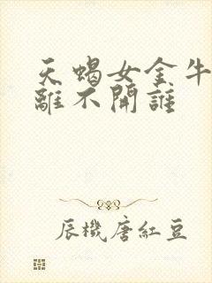 天蝎女金牛男谁离不开谁