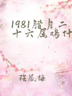 1981腊月二十六属鸡什么命运