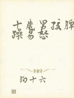 十岁男孩脾气暴躁易怒