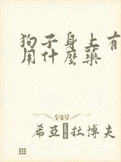 狗子身上有蜱虫用什么药