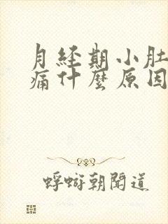 月经期小肚子胀痛什么原因