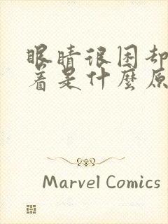 眼睛很困却睡不着是什么原因