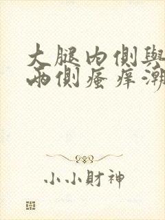 大腿内侧与阴囊两侧瘙痒潮湿发黑用什么药膏