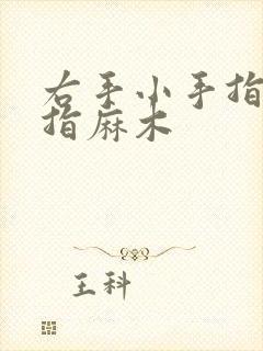 右手小手指无名指麻木