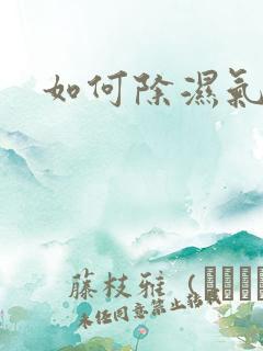 如何除湿气寒气