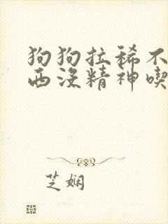 狗狗拉稀不吃东西没精神吃什么药