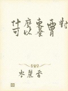 什么东西对胃好可以养胃