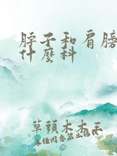 脖子和肩膀痛挂什么科