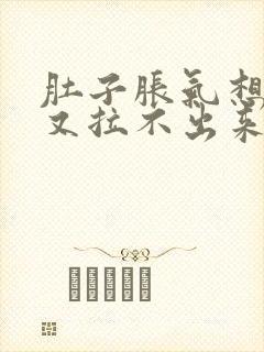 肚子胀气想拉屎又拉不出来怎么办