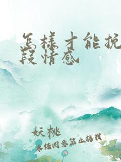 怎样才能挽回一段情感