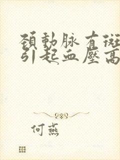 颈动脉有斑块会引起血压高吗