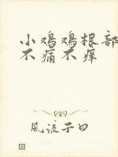 小鸡鸡根部疙瘩不痛不痒