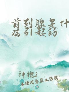 前列腺是什么毛病引起的