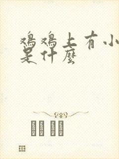 鸡鸡上有小疙瘩是什么