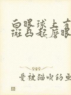 白眼球上有块黄斑凸起磨眼