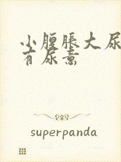 小腹胀大尿急总有尿意