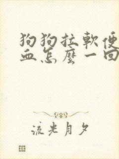 狗狗拉软便还带血怎么一回事