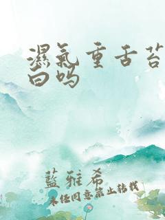 湿气重舌苔会发白吗