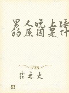 男人晚上睡不着的原因是什么