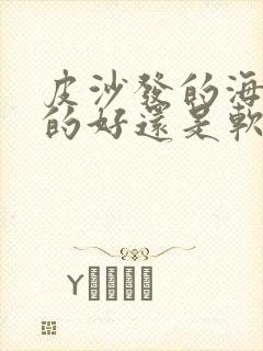 皮沙发的海绵硬的好还是软的好