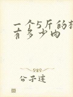 一个5斤的榴莲有多少肉