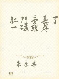 肛门旁长了个包一碰就疼