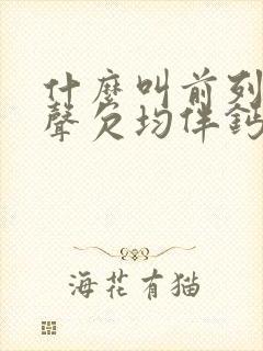 什么叫前列腺回声欠均伴钙化