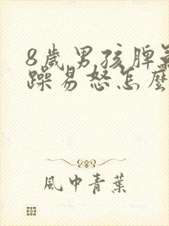 8岁男孩脾气暴躁易怒怎么办