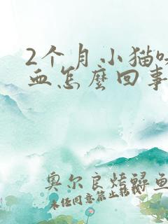 2个月小猫咪拉血怎么回事