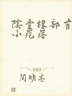 阴囊根部有几个小疙瘩