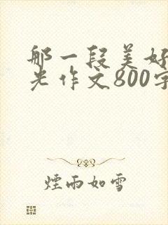 那一段美好的时光作文800字初中