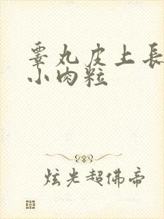 睾丸皮上长了个小肉粒