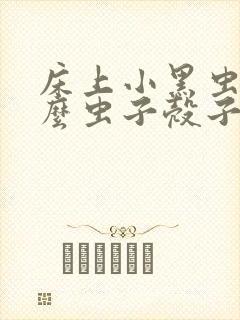 床上小黑虫是什么虫子壳子很硬