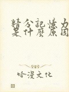 精分记忆力衰退是什么原因引起的