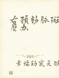 右颈动脉斑块怎么办