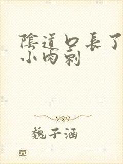 阴道口长了很多小肉刺