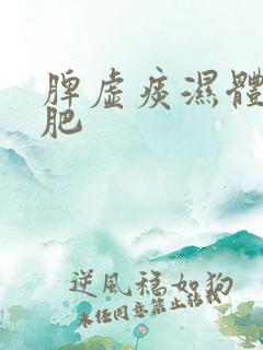 脾虚痰湿体质减肥