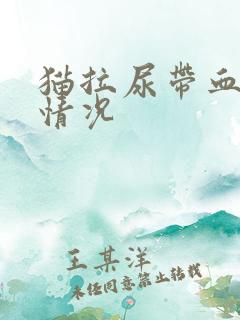 猫拉尿带血什么情况