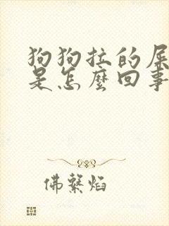 狗狗拉的屎稀的是怎么回事