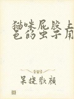 猫咪屁股上有白色的虫子用什么药治疗